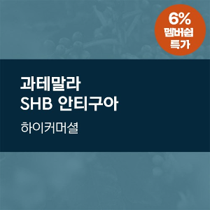 [멤버쉽특가] 과테말라 SHB 안티구아 (22일오픈)